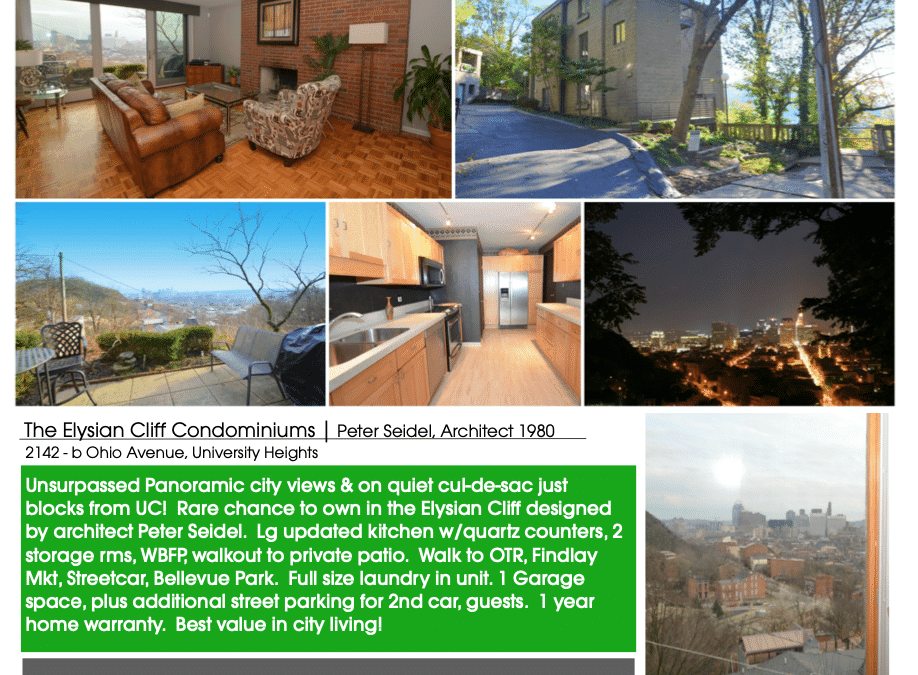 mod city view condo