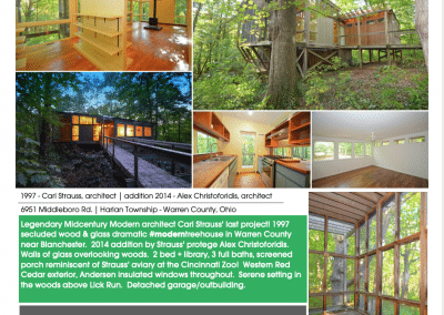 carl strauss #moderntreehouse